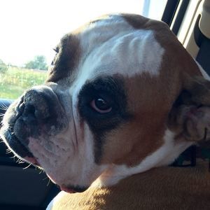 Meet your Posher, Kim